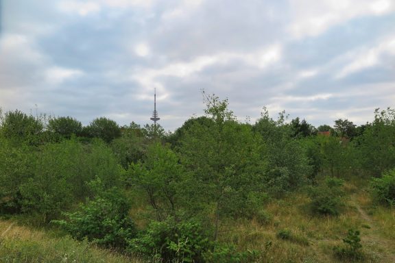 Heimatgrün von oben auf dem Lärmschutzwall - Funkturm in der Ferne sichtbar