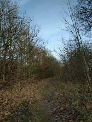 Trampelpfad an der Bogenstraße im Winter